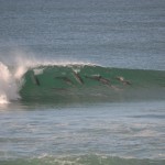 Dolphins surfing at Middle Rock, Lake Cathie.