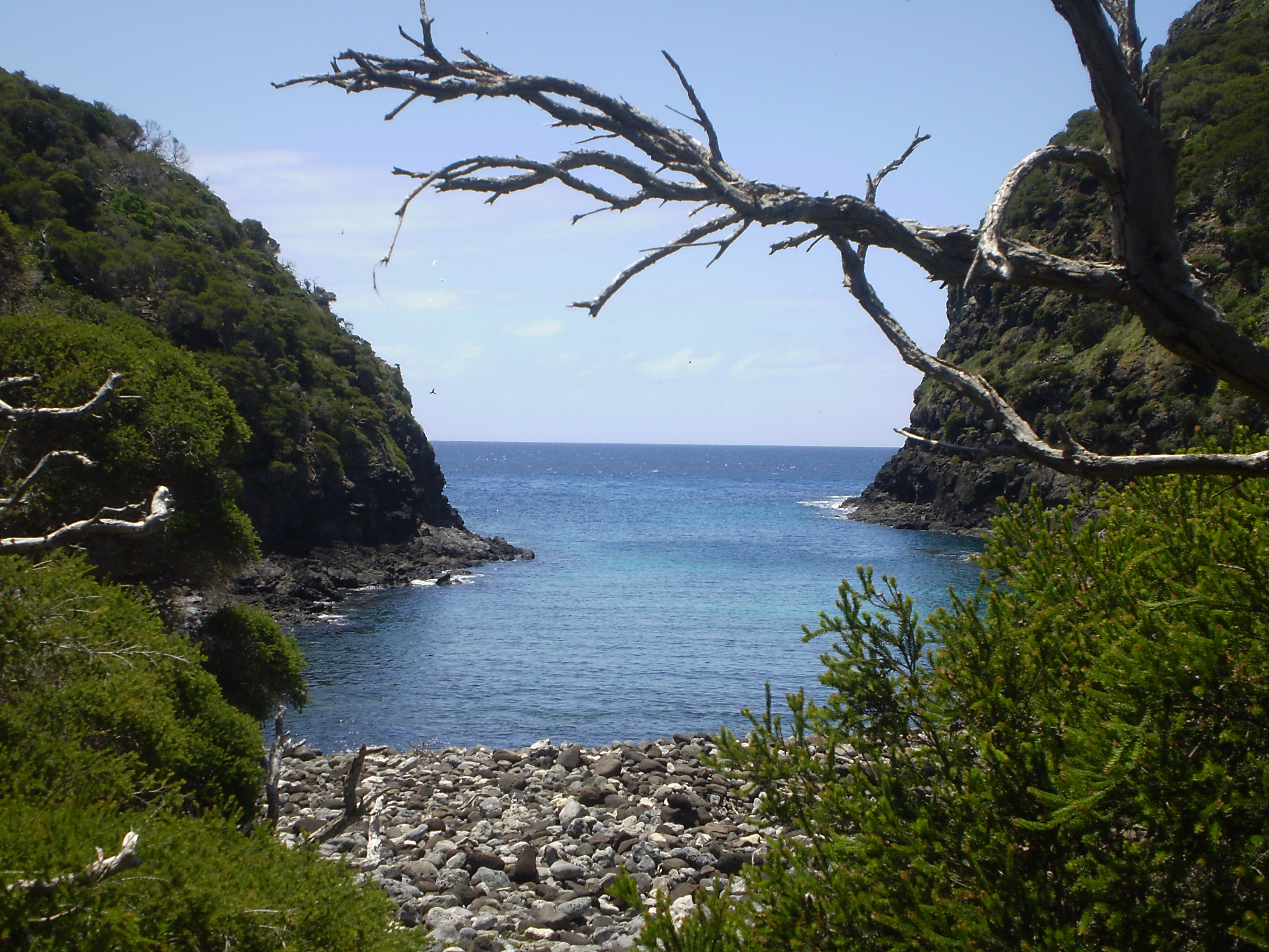 Old Gulch Lord Howe Island