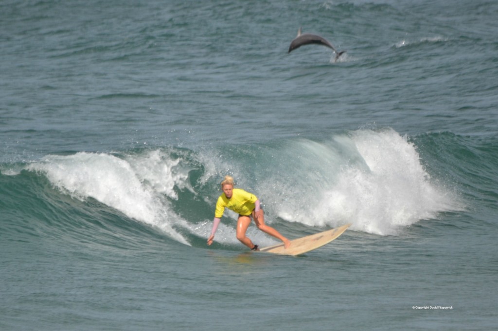 Dolphin and Surfer