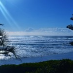 A Beach At Port Macquarie