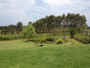 Vineyard Port Macquarie