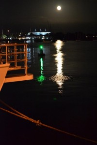 Moonlight over the river.