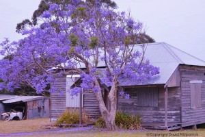 Old house