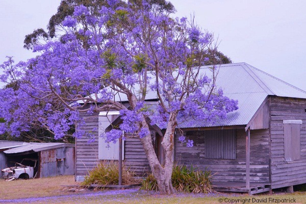 Old house