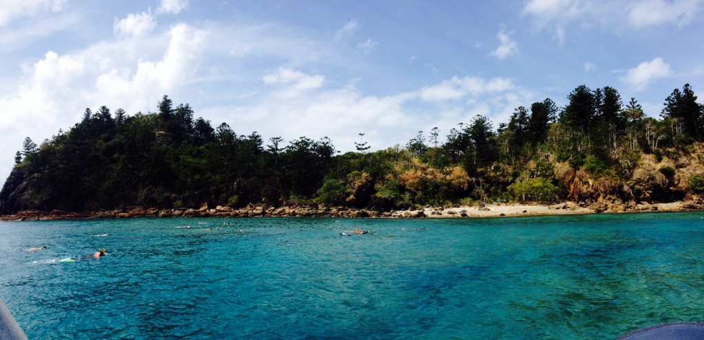 Snorkeling in Whitsundays