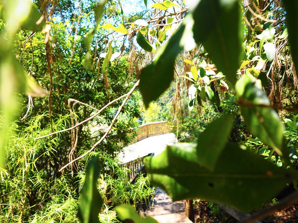 Walking Ellenborough Falls