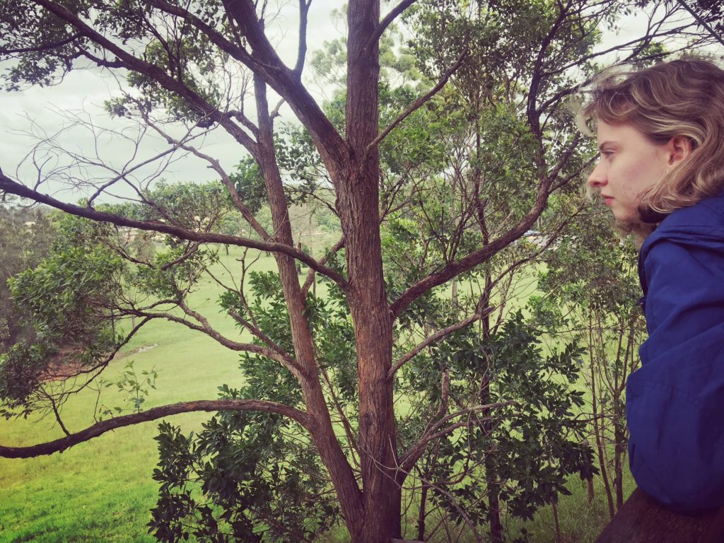 Picture of girl looking over paddock and tree.